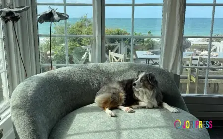 Shop Designer Beds – Redefine Luxury and Comfort for Your Bedroom