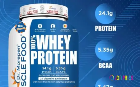 Why Whey Protein Powder Is the Best Protein Supplement?