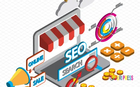 SEO Service Company