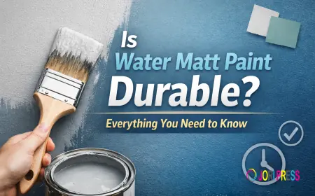 Is Water Matt Paint Durable? Everything You Need to Know