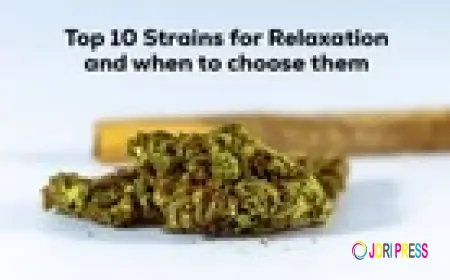 What Are the Most Exciting Ways to Spend a Weekend in Houston Right Now?