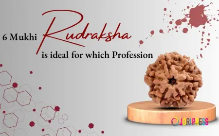 Do You Know These Powerful Benefits of 6 Mukhi Rudraksha?
