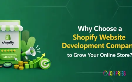 Why Choose a Shopify Website Development Company for Your Online Store