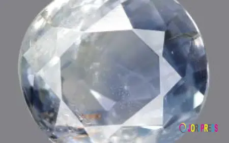 Do You Know These Unknown Benefits of Pitambari Neelam?