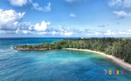 Cheapest Time to Go to Hawaii: A Complete Budget Travel Guide