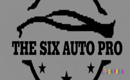 Expert Window Tinting at The SIX Auto Pro Vaughan — Premium Tint Services in Vaughan