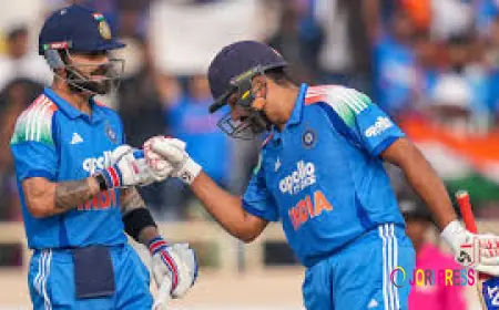 Playcric – Fast and Reliable Platform for Live Cricket Updates