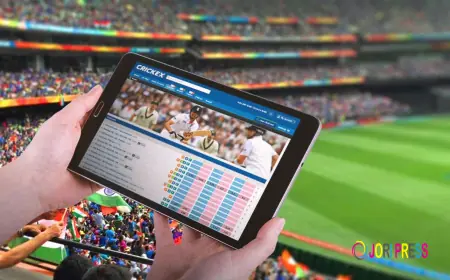 Best Cricket Betting Sites in India – A Complete Guide for Smart Bettors