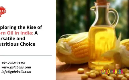 Exploring the Rise of Corn Oil in India: A Versatile and Nutritious Choice