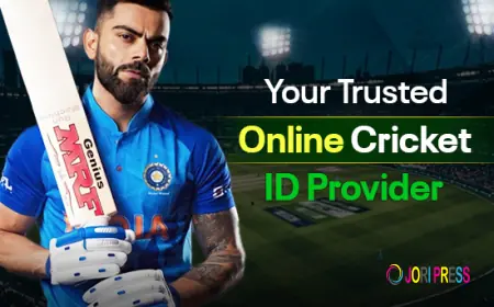 Instant Online Cricket ID Provider | Get Trusted Cricket Betting ID at Sky Cricket ID