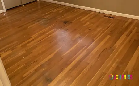 Make Your Home Look Fresh and Beautiful With Expert Floor Refinishing Service in Indiana