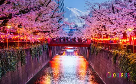 Japan Visa Requirements for First-Time Travelers