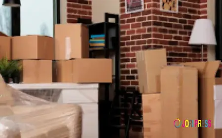 Quick Move Dublin Launches Professional House Moving Services in Dublin