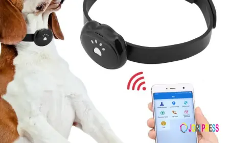 Smart Pet Collar Market Growth Trends, Innovations, Forecasts and Global Consumer Demand Analysis