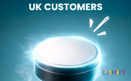 Most Popular Nicotine Pouch Brands Among UK Customers