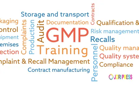 Comprehensive GMP & Regulatory Compliance Services in USA: Strengthening Quality, Compliance, and Inspection Readiness