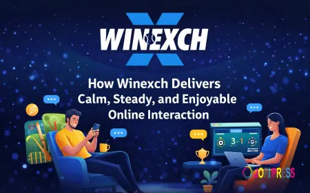 How winexch Delivers Calm, Steady, and Enjoyable Online Interaction