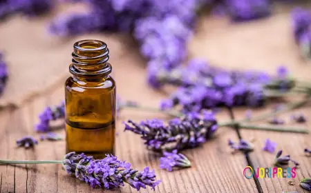 Cosmetic Oils Market Trends Driven by Clean Beauty, Ingredient Transparency, and Sustainability Demands