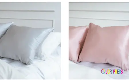 Luxury Moonlit Silver Dust Silk Pillowcase in Latvia