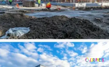 Ariel Construction Elevates Industry Standards with Premier Design Build Contractors