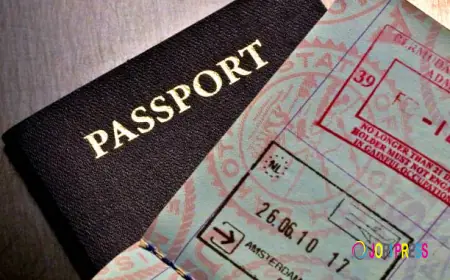 Tips and Tricks for a Successful Tajikistan Visa Approval