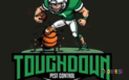 The Ultimate Guide to Pest Control in Orange County and Long Beach