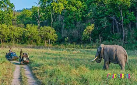 Moradabad to Ramnagar Cab | Moradabad to Ramnagar Taxi