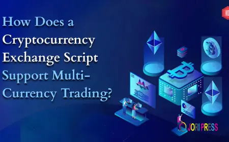 How Does a Cryptocurrency Exchange Script Support Multi-Currency Trading?