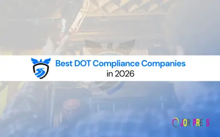 Top DOT Compliance Service Providers to Consider in 2026