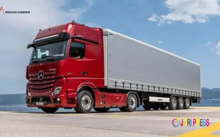 Professional Piano Removalists