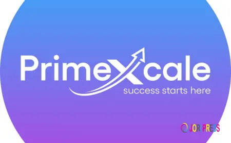 Digital Marketing Agency in Jaipur Offering Performance Marketing & D2C Growth Solutions ?