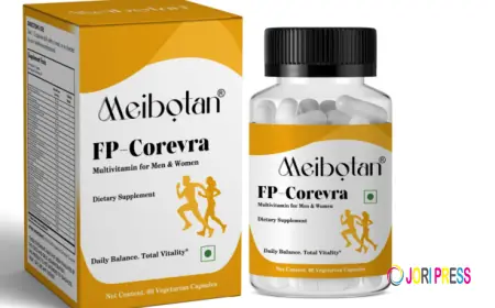 Best Protein Supplements – Meibotan Delivers Complete Strength and Wellness Nutrition