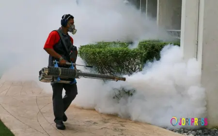 How to Get Your Home and Environment Pest-Free with Orkin Pest Control