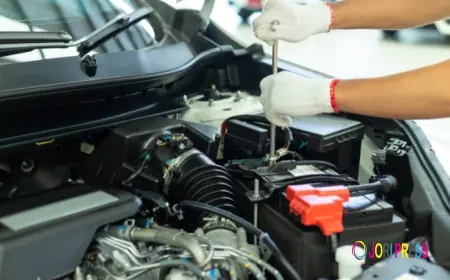 Why Routine Vehicle Care Is Essential for Every Driver