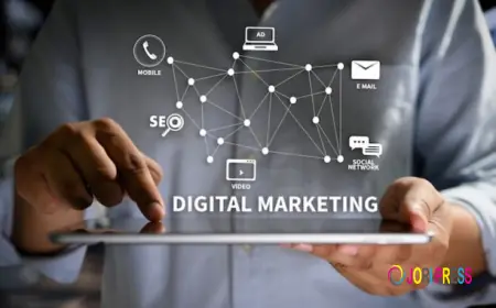 Best Digital Marketing Company in Panchkula Helping Businesses Grow with Smart Marketing