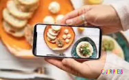 Steps to apply for FSSAI license for a small food business