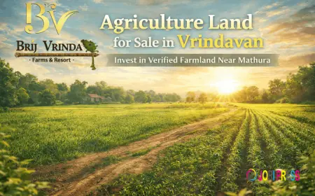 Agriculture Land for Sale Near Vrindavan – Where Soil, Serenity, and Smart Returns Meet