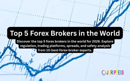 Why the Top 5 Forex Brokers Worldwide Dominate the Market in 2026
