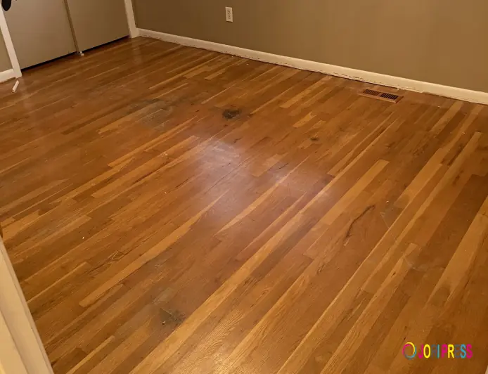 Make Your Home Look Fresh and Beautiful With Expert Floor Refinishing Service in Indiana