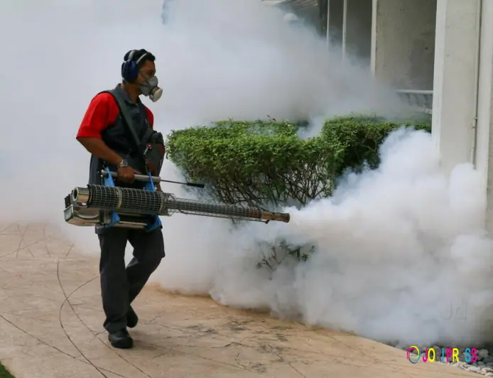 How to Get Your Home and Environment Pest-Free with Orkin Pest Control