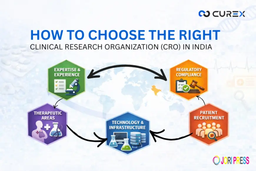 How to Choose the Right CRO in India: A Strategic Guide