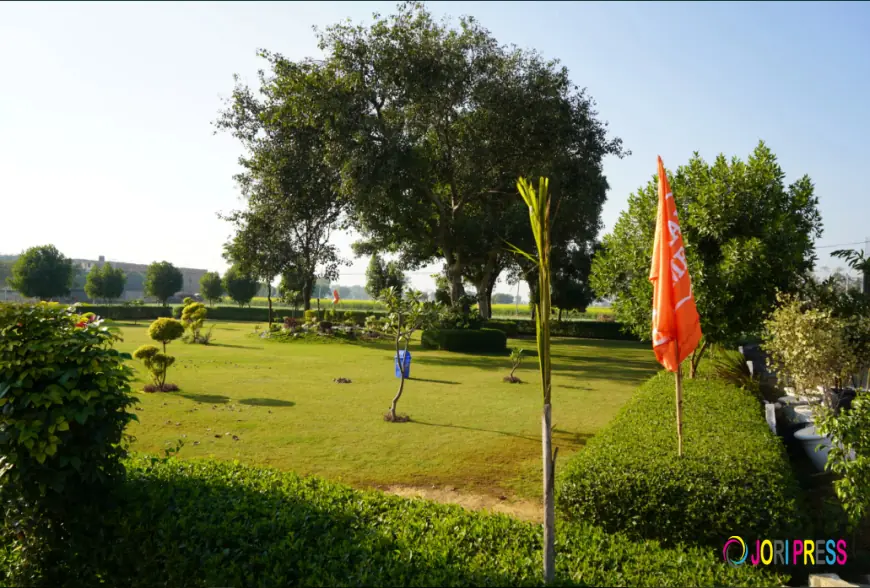 Buy Plot Near Jewar Airport – Secure Your Future Investment with Maxpine Group