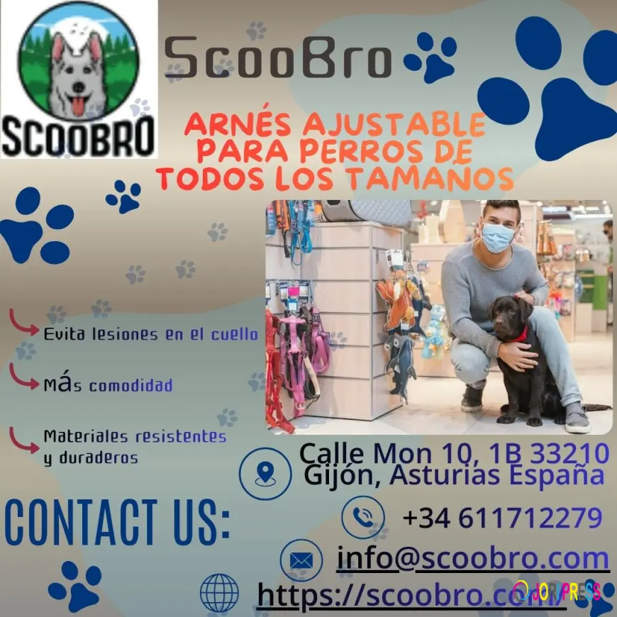 El equilibrio perfecto entre control y bienestar para tu perro