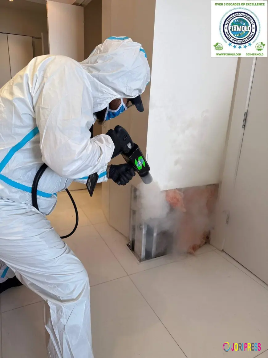 Fix Mold Miami Expands Professional Mold Remediation Services to Protect Indoor Air Quality and Property Safety