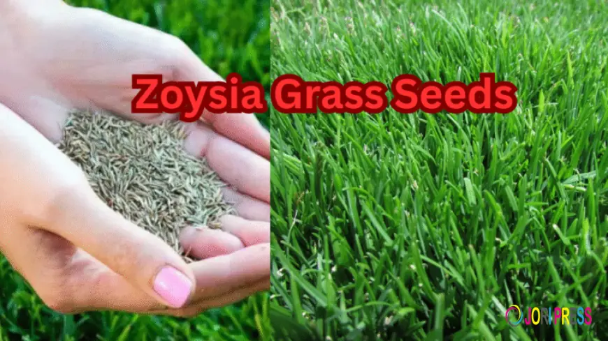 Top Grass Cutting Machine – Types, Prices, Uses & Buying Guide