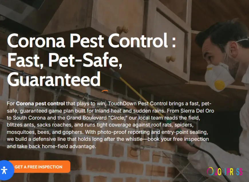 Effective Pest Control Solutions in Corona and Anaheim for a Pest-Free Home
