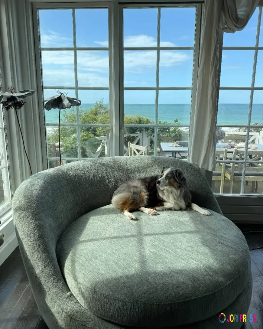 Shop Designer Beds – Redefine Luxury and Comfort for Your Bedroom