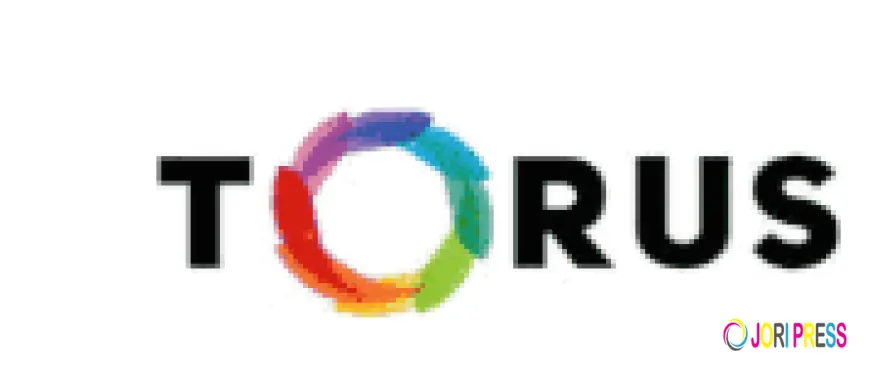 Best Cold Press Juicers & Slow Juicer Machines in Australia | Torus