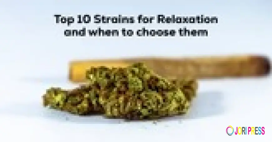 What Are the Most Exciting Ways to Spend a Weekend in Houston Right Now?