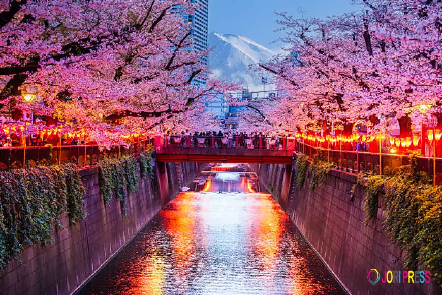 Japan Visa Requirements for First-Time Travelers